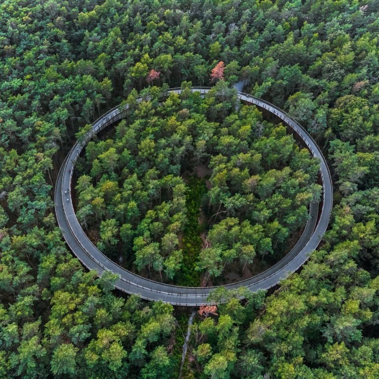 thomas-bormans-jbnQmj12mog-unsplash